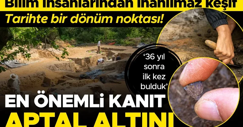 Bilim insanlarından inanılmaz keşif: Tarihte bir dönüm noktası! En önemli kanıt aptal altını 36 yıldır burada çalışıyoruz, ilk kez bulduk