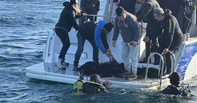Çanakkale Boğazı nda hayalet ağ temizliği yapıldı Çanakkale Haberleri