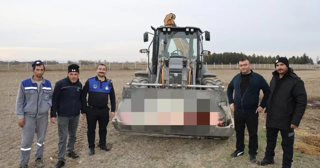 Çifteler de 215 kilogram kaçak at eti ele geçirildi Eskişehir Haberleri