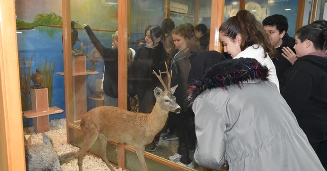 Öğrenciler hayvan müzesini ilgi ile gezdi Düzce Haberleri