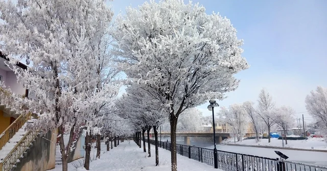 Bayburt un Arpalı Beldesi güne kar yağışıyla uyandı Bayburt Haberleri