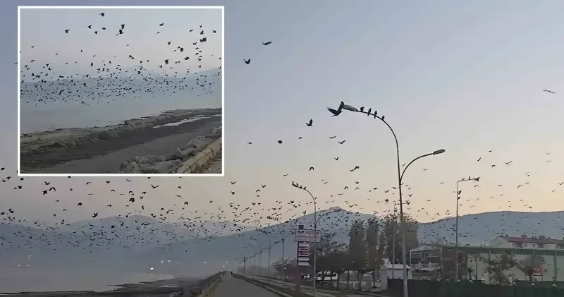 Tatvan sahilinde gökyüzünde sıra dışı manzara Bitlis Haberleri