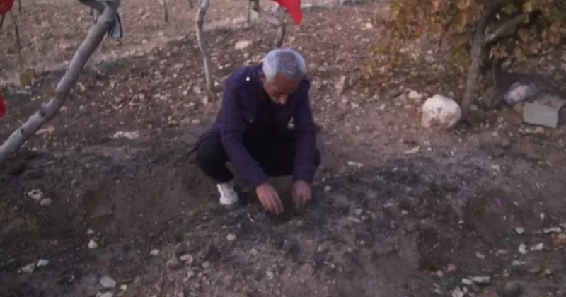 Denemelik ekti şimdi gelir kapısı oldu: Dünyanın en pahalı bitkisi Sözcü Gazetesi