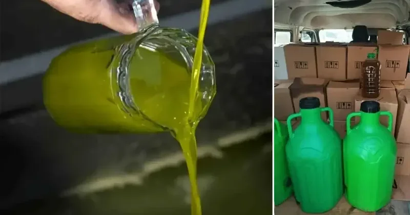 Aydın da durdurulan araçtan çıkanlar şoke etti: Litrelerce tağşiş yağ ele geçirildi Aktüel Haberleri