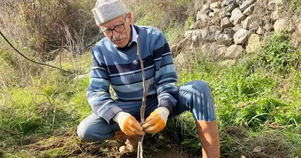 Antalya haberleri 82 yaşındaki Mevlüt emminin imrendiren toprak projesi: Bin 670 ağaç dikti 12 Ocak 2026