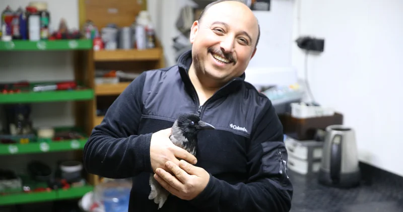 Yaralı halde bulduğu karga en yakın arkadaşı oldu