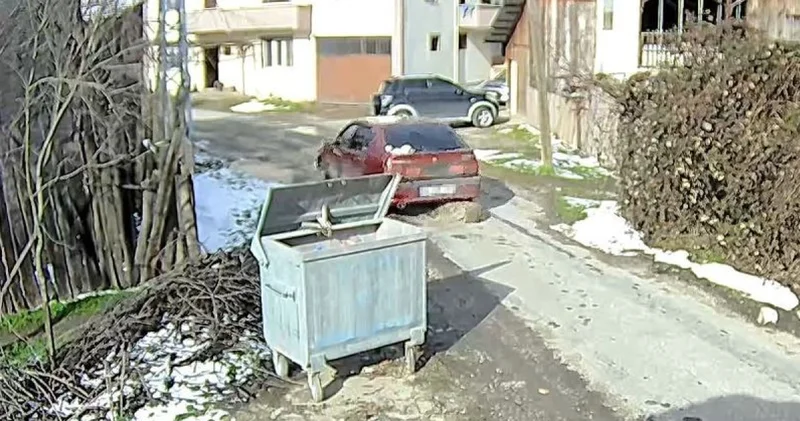 Son dakika: Bolu da ezilen köpeğin röntgeninden 400 saçma çıktı: İnsanlık adına affetmeyeceğiz Son dakika haberleri