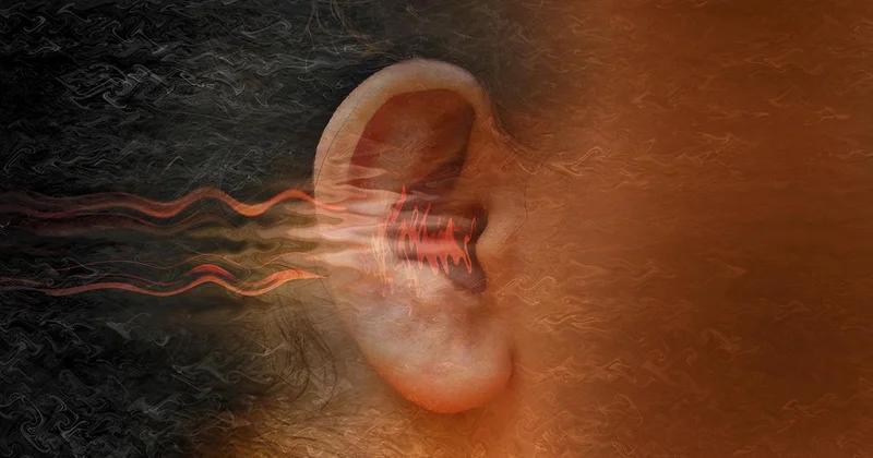 Gürültü kirliliği kalp ve damar sağlığını etkiliyor