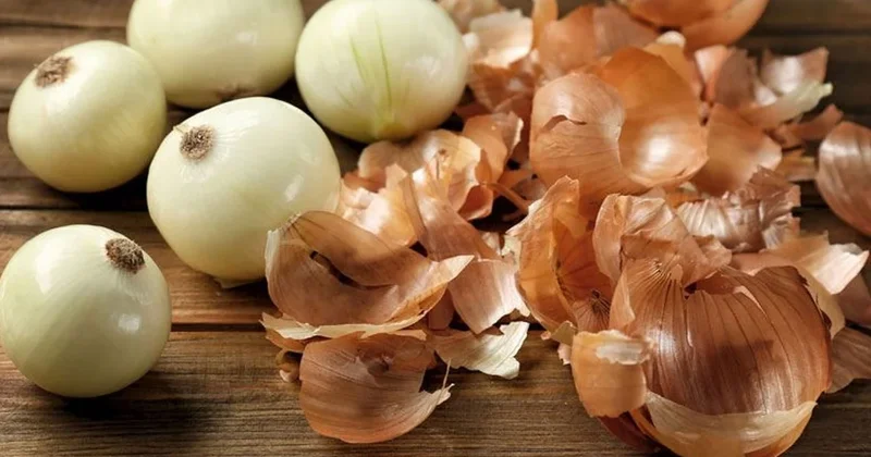 Soğanları saklamanın tek doğru yolu bu: Sık yapılan hataya düşmeyin Sözcü Gazetesi