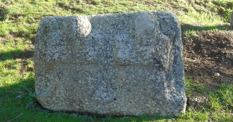 Yakın Doğu nun en büyüğü o ilçemizde: Binlerce kişi akın ediyor Sözcü Gazetesi