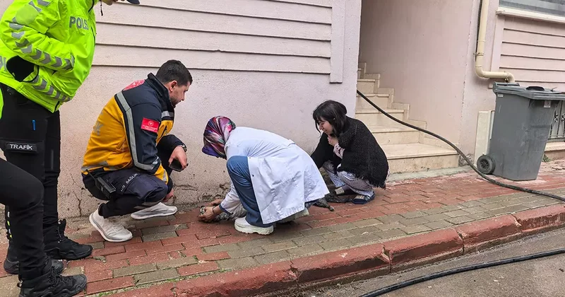 Bursa da yangında can pazarı... Çocuklar tahliye edildi, kediler kurtarıldı