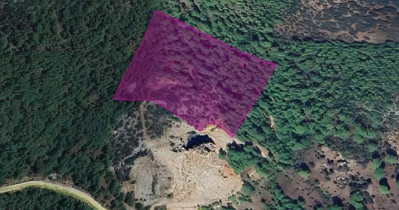 DSİ den Muğla da ormanlık alana maden ocağı projesi