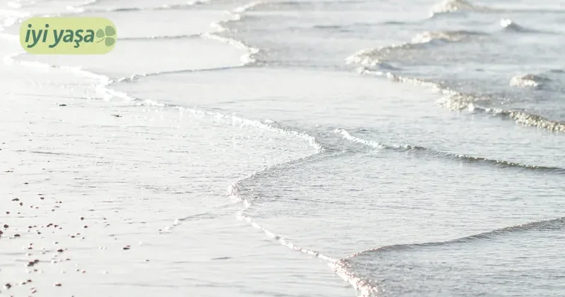 Bugünden yarına: Sürdürülebilir bir yaşamın temel taşları