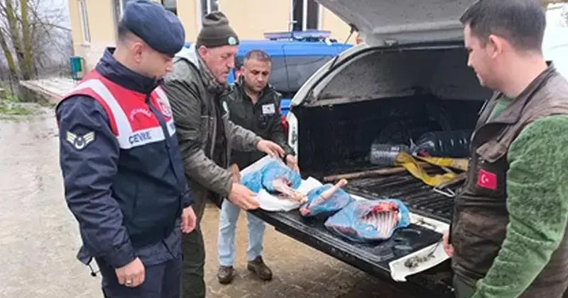 Kırklareli de karaca avlayan kişiye 50 bin lira ceza