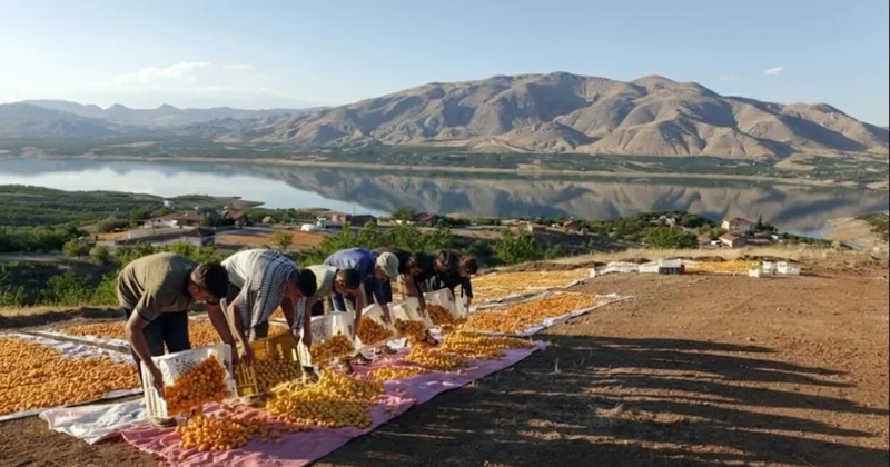 Tüm dünyanın gözü oraya çevrildi! Türkiye nin bir şehrinden 750 milyon dolarlık dev hamle Sözcü Gazetesi