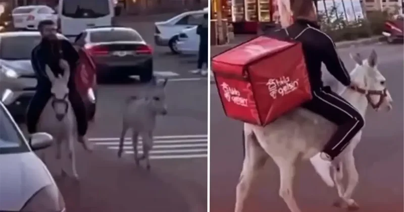 İzmirli kuryeden trafikte akılalmaz hamle! Ehliyeti elden gidince eşeği kullandı