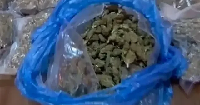 Hatay da durdurulan TIR’dan 5 kilo uyuşturucu çıktı VİDEO İZLE