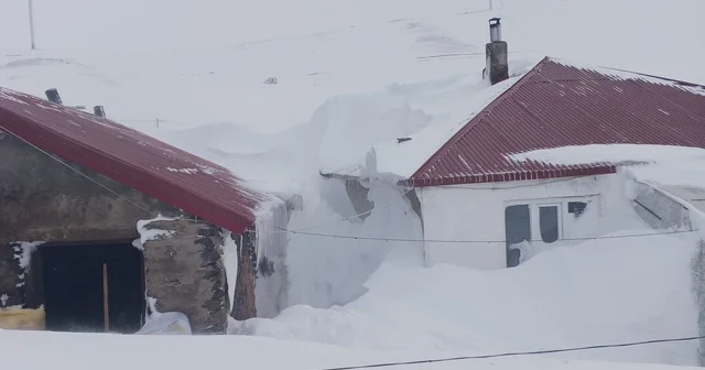 Taşlıçay da kar yığınları evlerin boyuna ulaştı Ağrı Haberleri