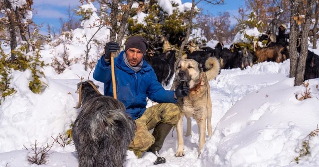 Öldürülen köpeğine otopsi yaptırdı, sorumluların bulunmasını istiyor Yozgat Haberleri