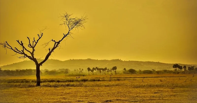 Geri dönüşü olmayan nokta: Bilim insanları sera dünya riskine karşı uyarıyor