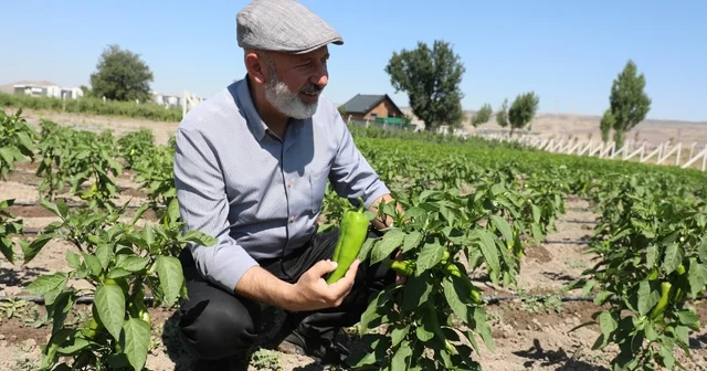 Başkan Çolakbayrakdar: Toprağımıza bereket, çiftçimize yeni kazanç kapısı açıyoruz Kayseri Haberleri