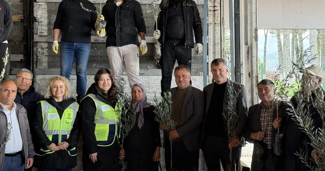 Beyağaç ta kırsal kalkınmayı destek amacıyla zeytin fidanı dağıtımı gerçekleşti Beyağaç Belediye Başkanı Sezayi Pütün; Toprağa verilen her destek, geleceğimize atılan güçlü bir adımdır Denizli Haberleri