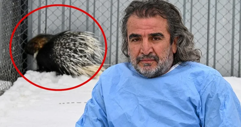 Hakkari de ortaya çıktı apar topar harekete geçildi: Kimse karşılaşmak istemiyor Sözcü Gazetesi