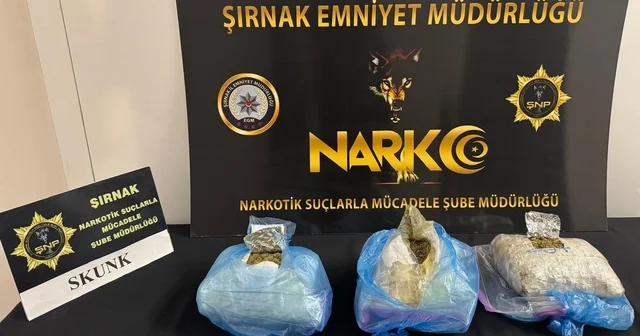 Cizre de uyuşturucu tacirlerinin öncü artçı taktiği sökmedi Şırnak Haberleri