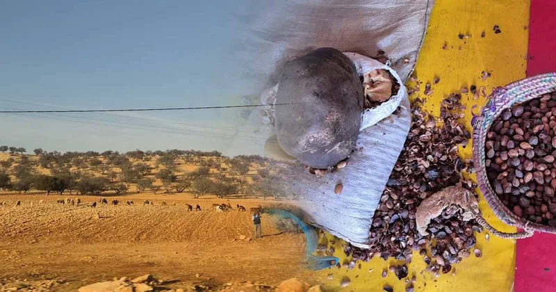 Tek damlası servet ediyor, çöpü bile ziyan olmuyor: Eken litresini 6 bine satıyor Sözcü Gazetesi