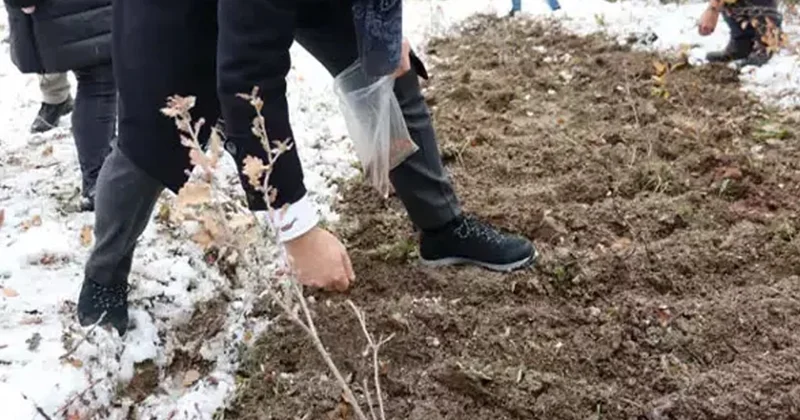 Milli servet değeri taşıyor: Avrupa peşine düştü Sözcü Gazetesi