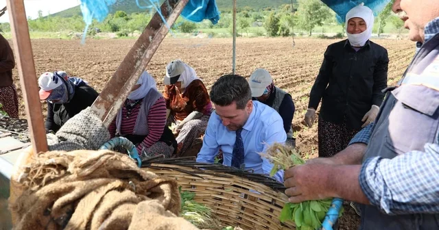 Başkan Tatık tan tütün firmalarına Alım takvimi açıklayın çağrısı Denizli Haberleri