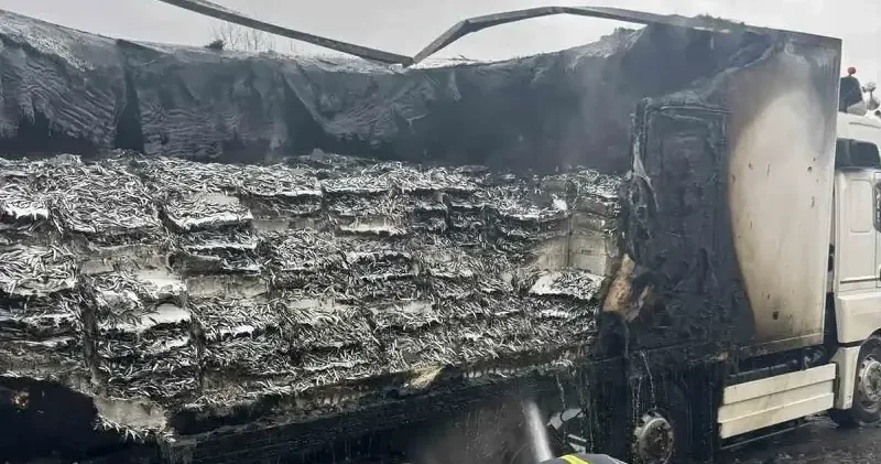 Kasalarca hamsi yüklü tırda yangın Kırklareli Haberleri