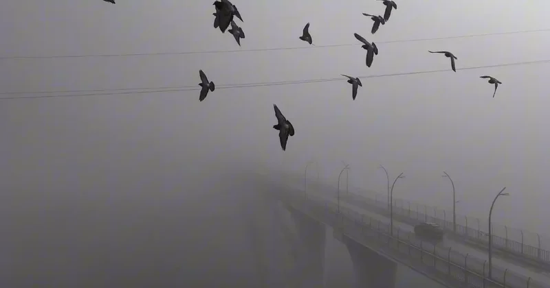 Yoğun sisten kaybolan yapılar dronla görüntülendi