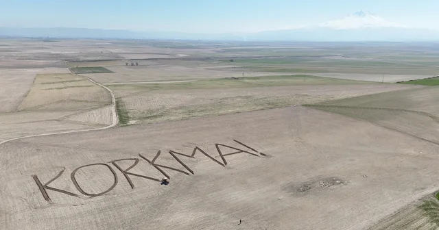 Aksaraylı çiftçi, tarlasına İstiklal Marşı nın ilk kelimesi, Korkma yazdı Aksaray Haberleri