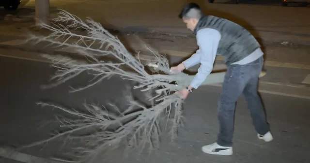 Kaza sonrası cam ve plastik parçalarıyla dolan yolu vatandaş kırılan ağaçla böyle temizledi Otomobil önce ağaca sonra aydınlatma direğine çarptı: 1 yaralı Aksaray Haberleri