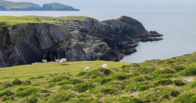 Nüfusu sadece 6 kişi: İnsan sayısından çok koyun var Sözcü Gazetesi