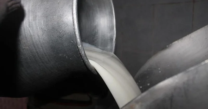 Toplanan inek sütü miktarı ocakta 944 bin 926 ton oldu