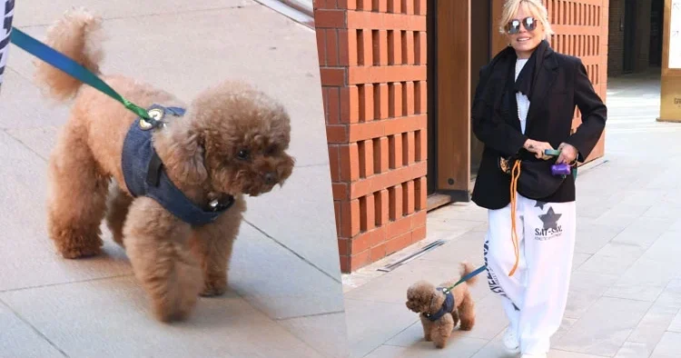 Tina’yla Boğaz havası