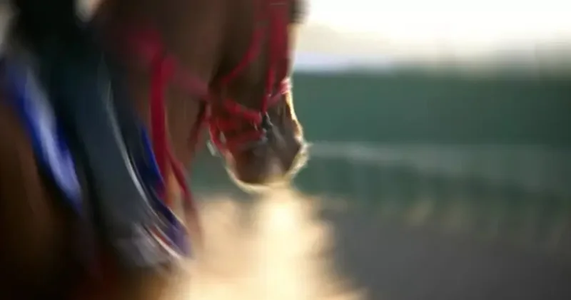 Son dakika: Sakatlanan yarış atı kavurma yapıldı iddiası! Son dakika haberleri