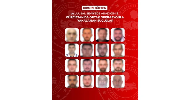 Kırmızı bültenle aranan 13, ulusal seviyede aranan 3 kişi Gürcistan da yakalandı