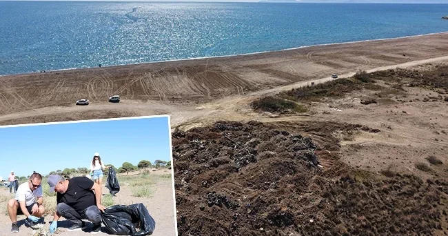 Antalya da kumsalın altında bulundu: 1500 tane olduğu tahmin ediliyor! Bu katliama izin vermeyeceğiz