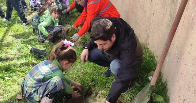 Çavdarhisar da minikler okul bahçesine fidan dikti Kütahya Haberleri