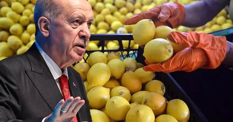 Fiyatı 100 lirayı aşmıştı, Erdoğan el attı! Limon ithalatında yeni karar