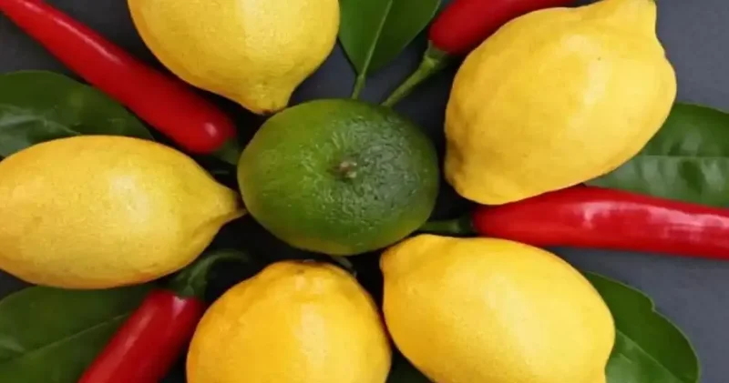 Limon ithalatında vergi kararı!