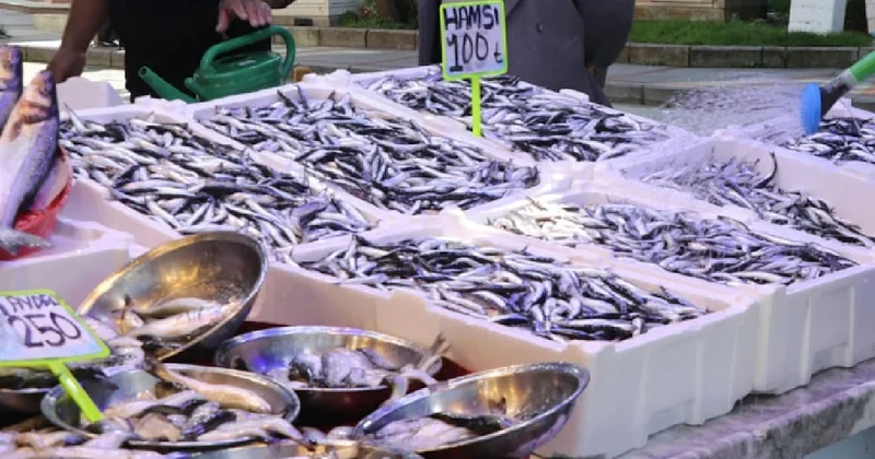 Ne hamsi ne mezgit ne de çipura: Balıkçıda ismini bile sormuyoruz ama tam bir şifa deposu Sözcü Gazetesi