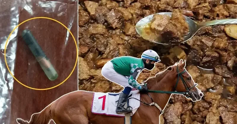 Belediyenin dağıttığı kavurmadan yarış atı çipi çıktı: Kesip vatandaşa yedirmişler Gündem Haberleri