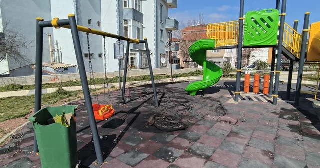 Parkta lastik yakıp, oyun gruplarına zarar verdiler; olay kamerada Edirne Haberleri
