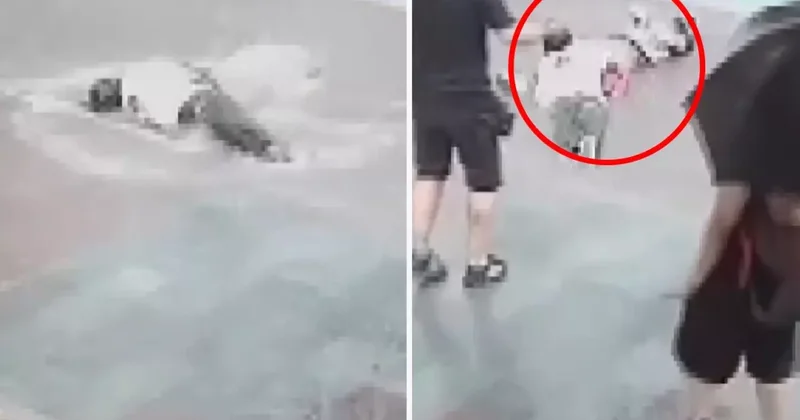 İzmir de 2 kişinin akıma kapılarak ölümüne ilişkin hapis cezası verilen 11 sanık tahliye edildi