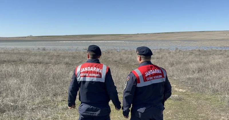 Binlercesi aniden Yozgat a akın etti: Jandarma gece gündüz başlarında nöbet tutuyor Sözcü Gazetesi