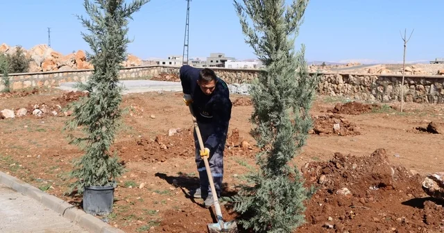 Yukarıgöklü Kent Parkı yeşile bürünüyor Şanlıurfa Haberleri